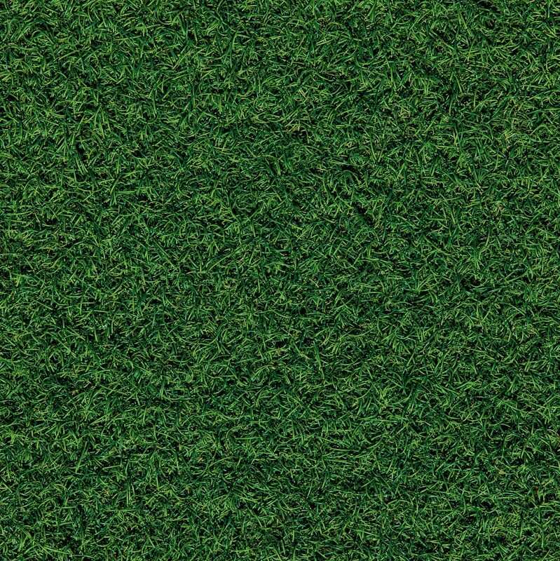 green grass field during daytime